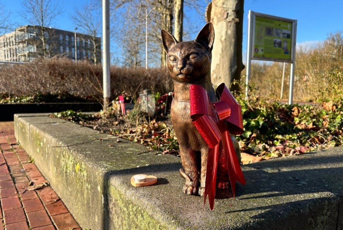 Beeld stationskat Brammetje uit voorzorg weggehaald na ‘poging ontvoering’