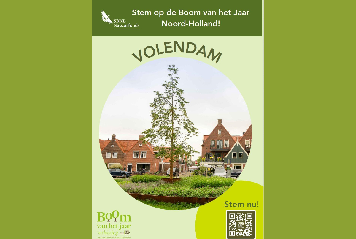 Stem op ‘onze’ lindeboom als Boom van het Jaar 2026