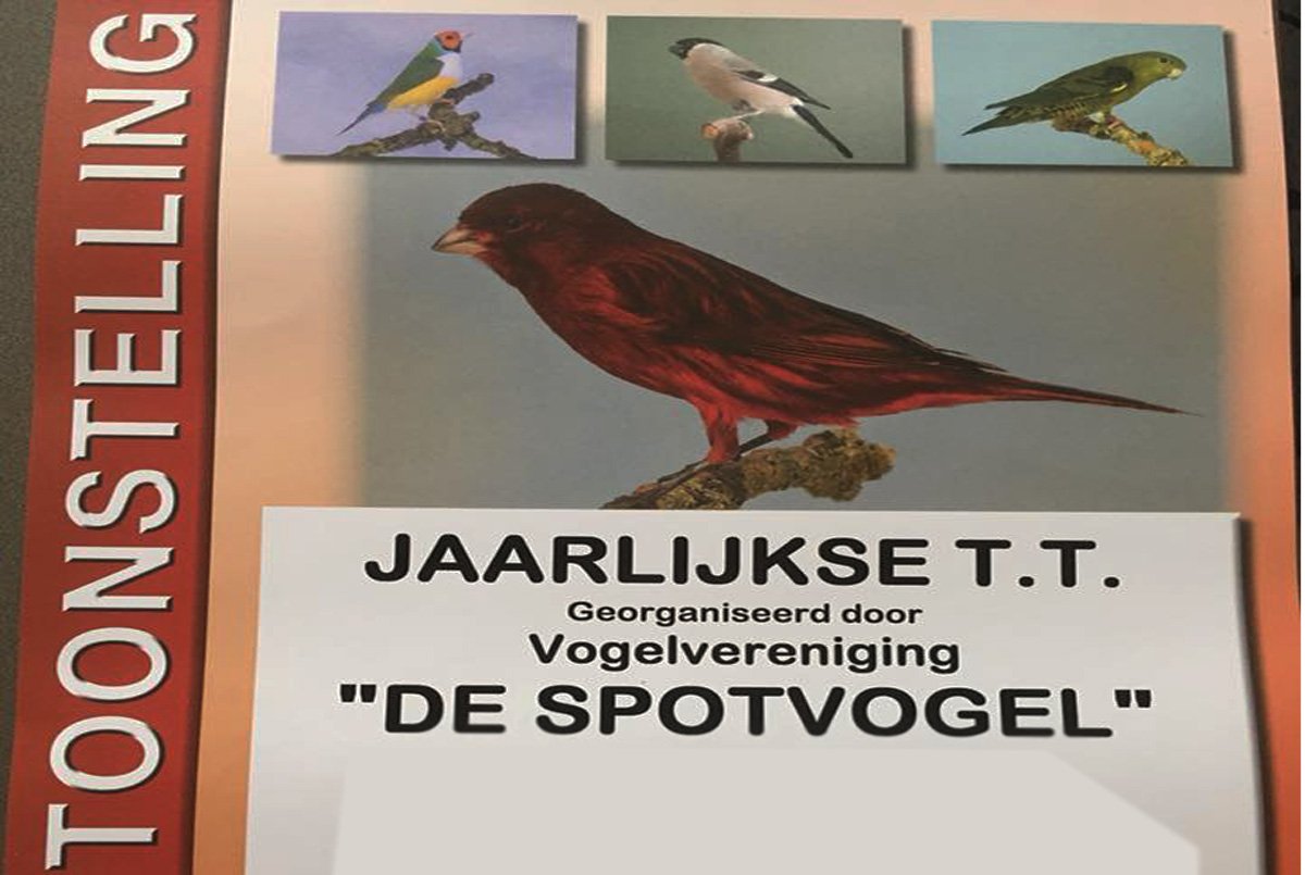 Vogelshow van Vogelvereniging De Spotvogel