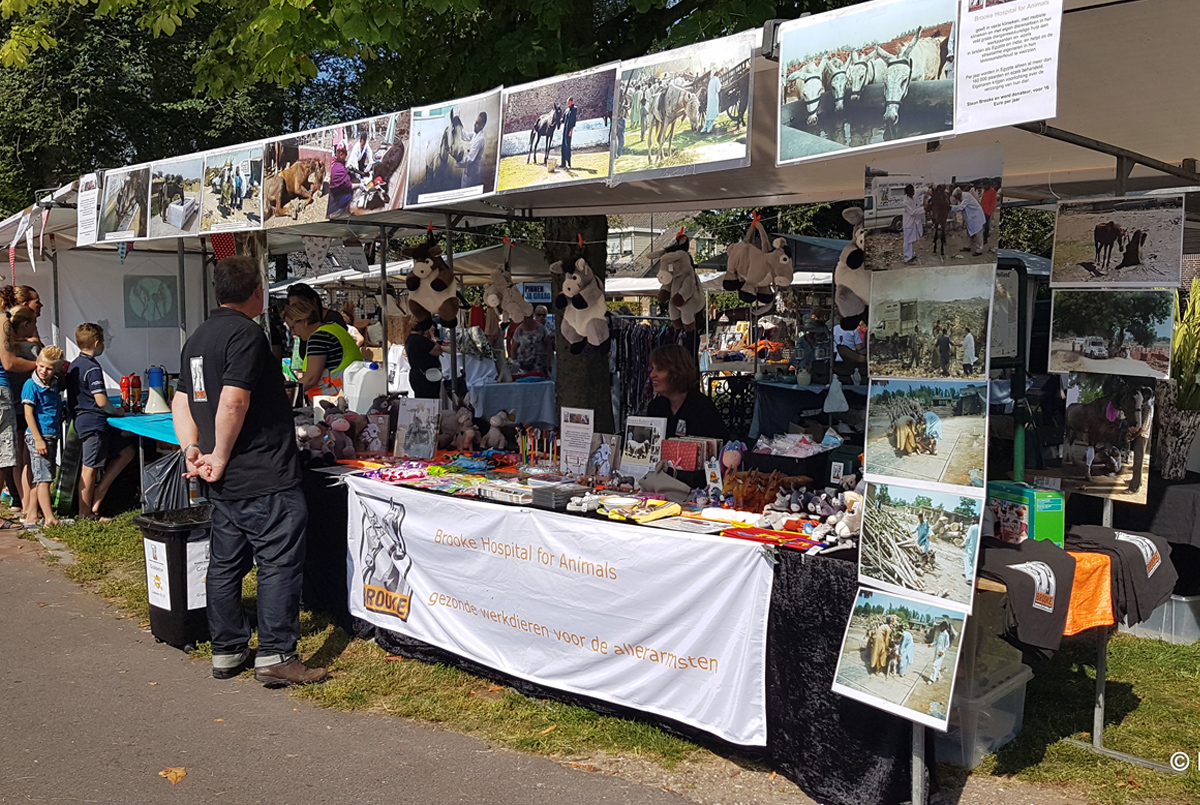 Drukke Zomermarkt in Middelie